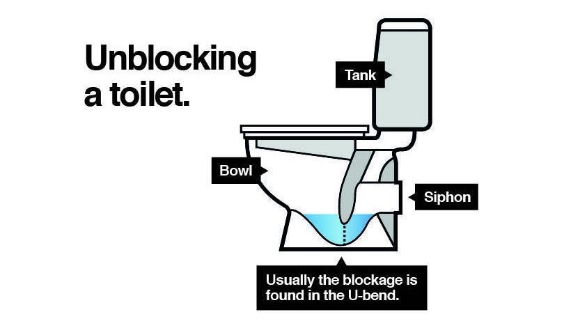 unblocking-a-toilet