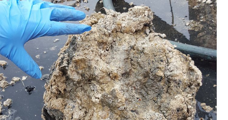 Fatberg pulled from a hospital car park 