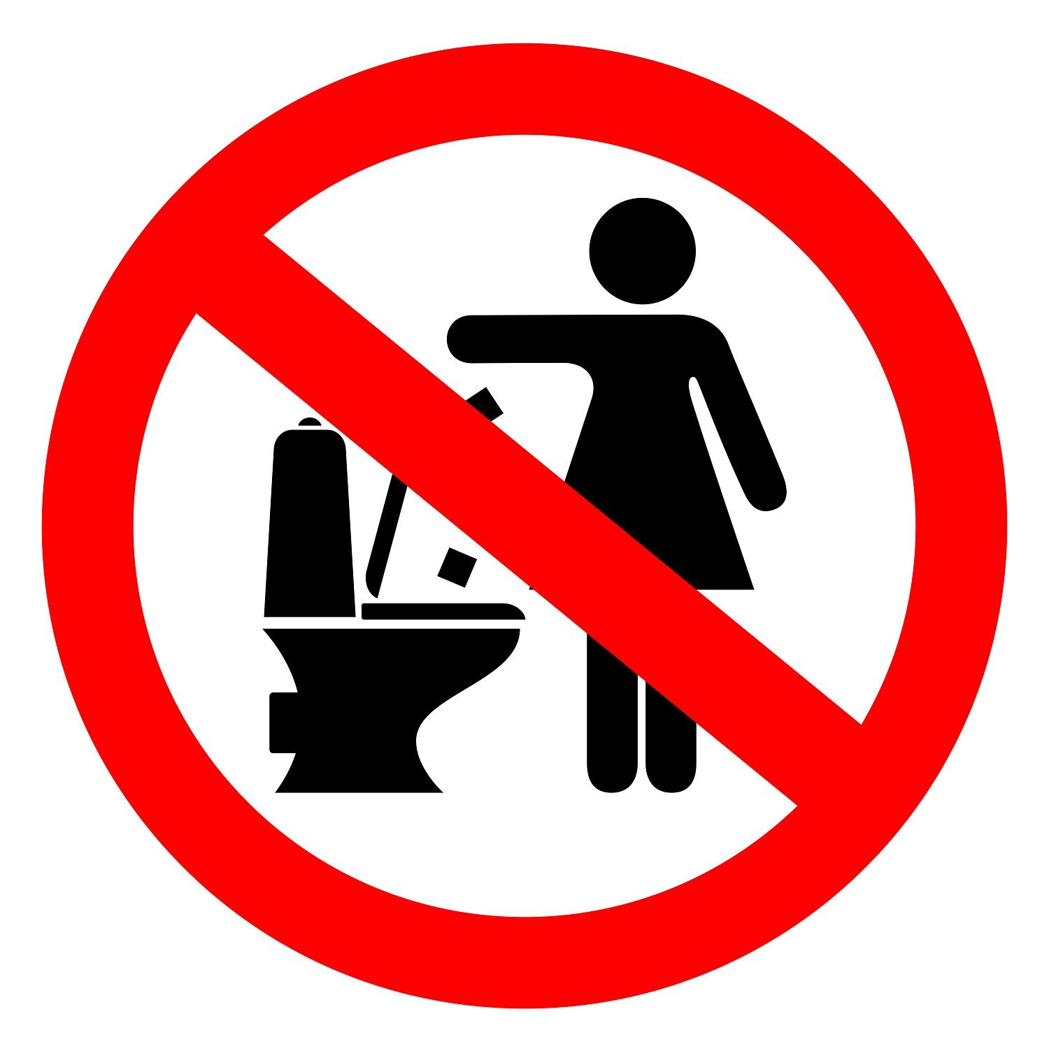 Why is flushing sanitary down the toilet bad our sewers and oceans?